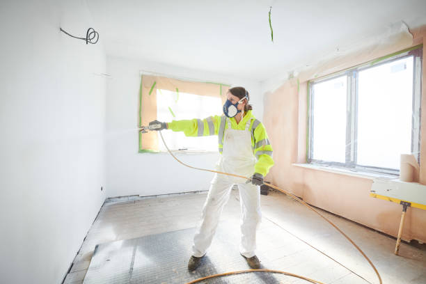 Best Emergency Mold Remediation  in Gages Lake, IL