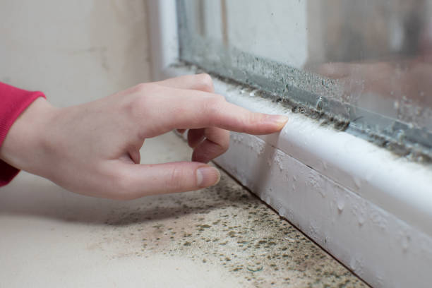 Best Post-Remediation Verification Testing  in Gages Lake, IL