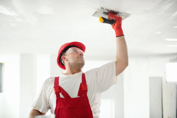  Gages Lake, IL Mold Removal Pros
