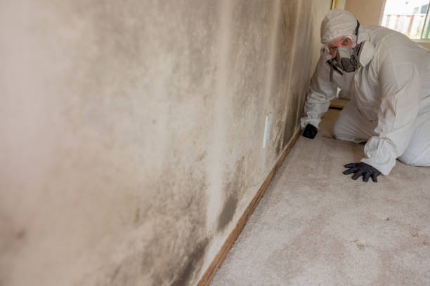 Best Forensic Mold Investigation  in Gages Lake, IL